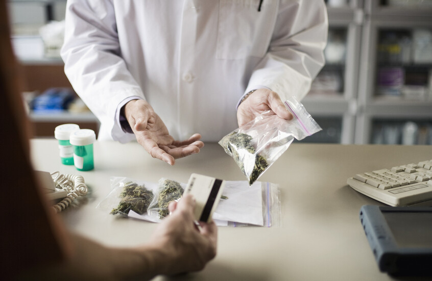 الحكومة الإسبانية  توافق على استخدام نبات القنب الطبي كمخفف للآلام