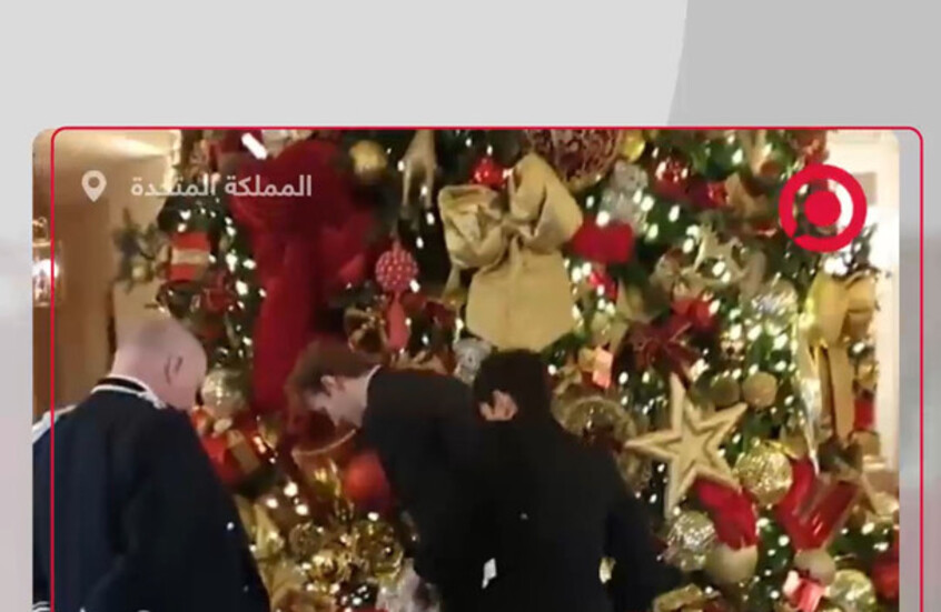 احتجاجا على التفاوت الطبقي.. ناشطون يرمون روث الحيوانات تحت شجرة عيد الميلاد بفندق "ريتز" الفاخر