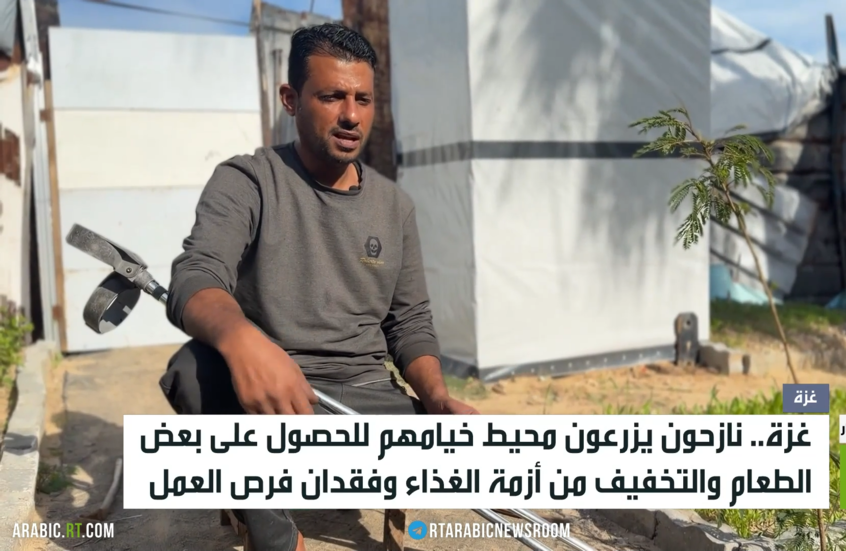 غزة.. الزراعة هربا من الجوع والفقر