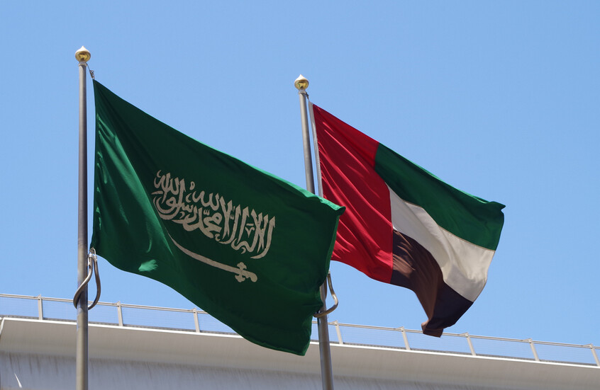 الإمارات تعلن المشاركة في تمرين "درع الخليج 2026" العسكري بالسعودية