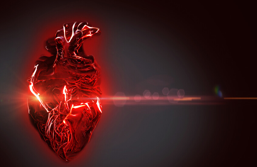 دراسة تكشف الفئة الأكثر عرضة للإصابة بأمراض القلب