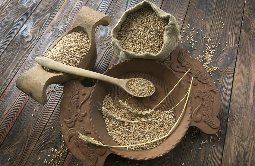 "غولدمان ساكس" يحذر: اضطراب إمدادات الأسمدة عبر هرمز يهدد المحاصيل العالمية