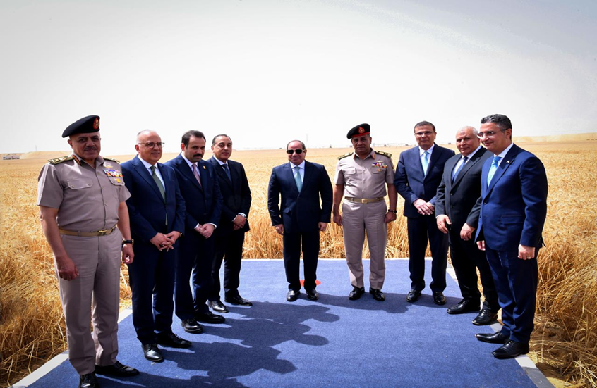 مشروع مصري يستثمر كنزا مائيا في الزراعة بدلا من إهداره في البحر المتوسط
