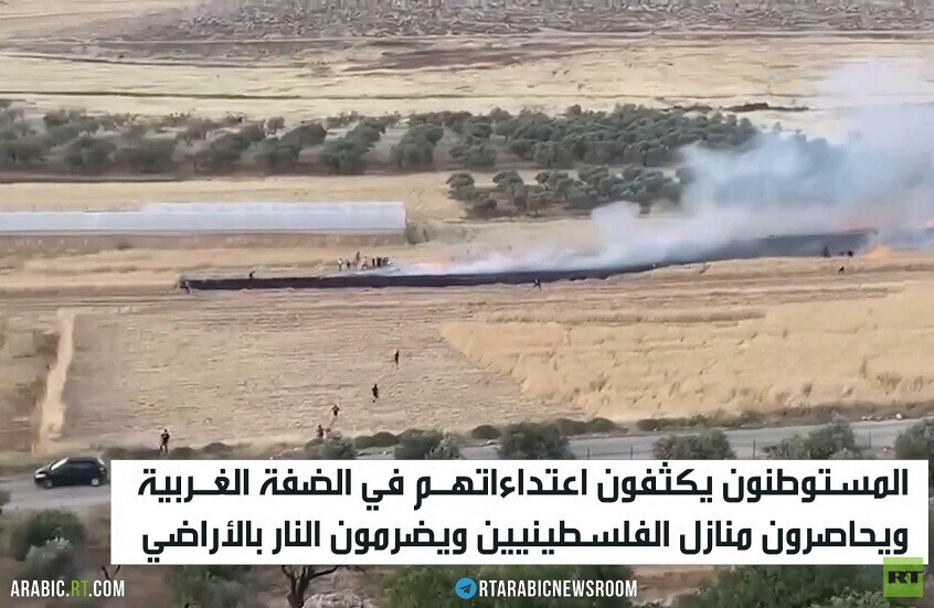 الضفة.. موجة جديدة من اعتداءات الاستيطان