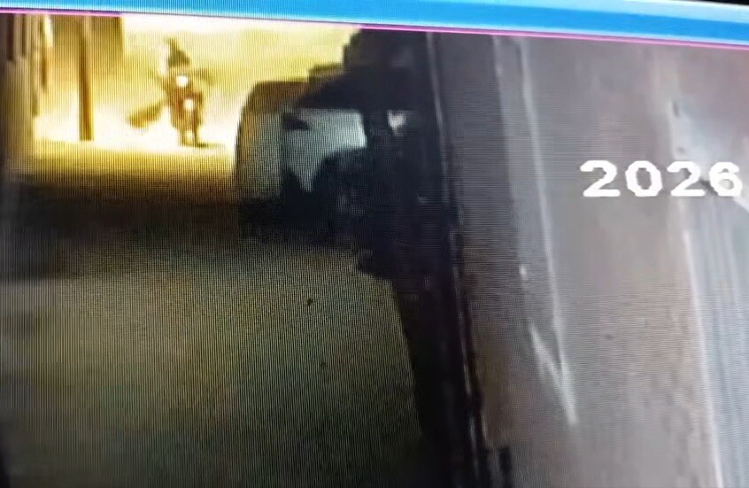 مصر.. تعرض 14 شخصا لهجوم من كلب يشتبه بإصابته بالسعار (فيديو)