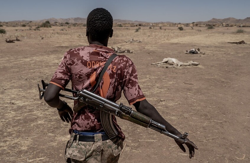 الجيش السوداني يعلن تحرير مدينة كلبس وتوجيه ضربات نوعية لقوات الدعم السريع