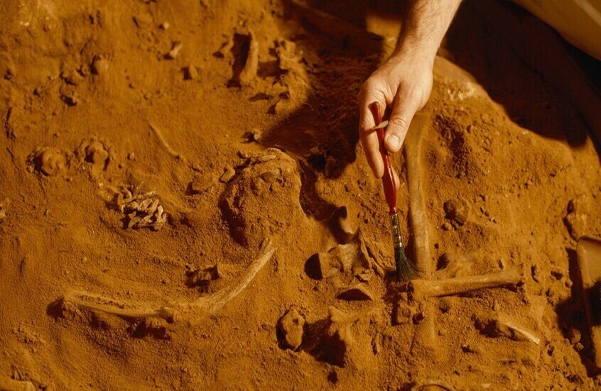 اكتشاف غير مسبوق في مصر يوثق وجود زواحف طائرة