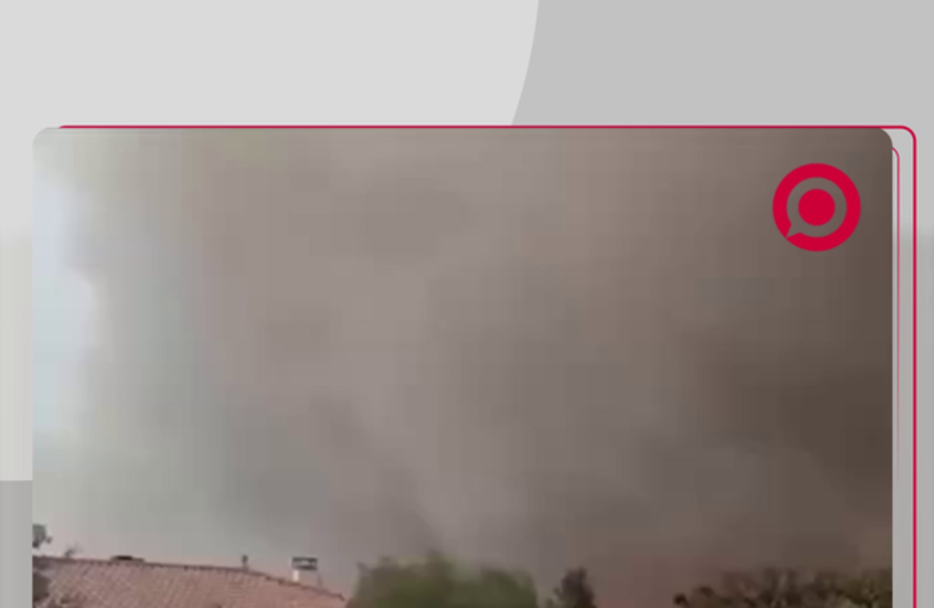 إطلاق سراح الخيول بسبب حرائق الغابات في فرنسا