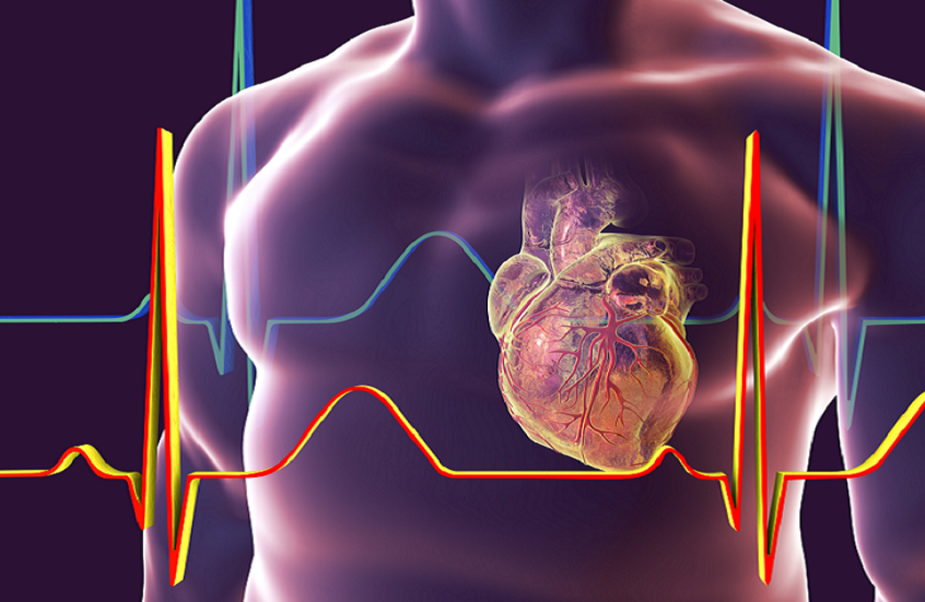 طبيب قلب يكشف الطريقة الوحيدة لإبطاء شيخوخة عضلة القلب
