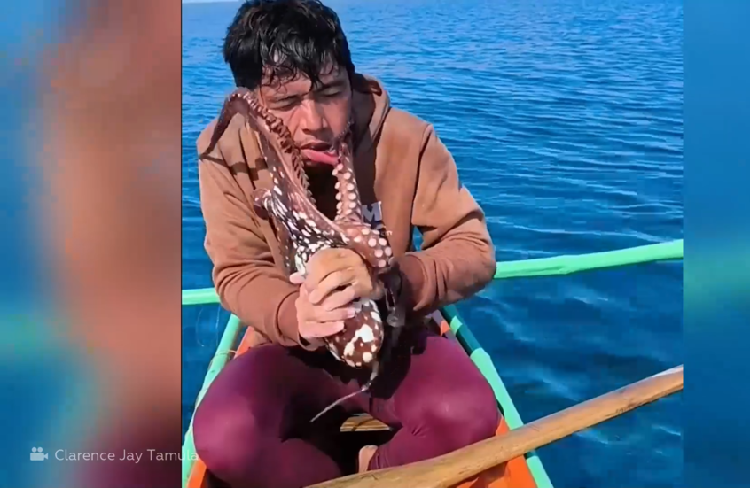 شاهد.. فيديو متداول لمعركة شرسة وجها لوجه بين صياد وأخطبوط