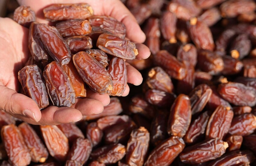 الإمارات.. مجلس الإفتاء يقرر نصابا موحدا لزكاة التمور