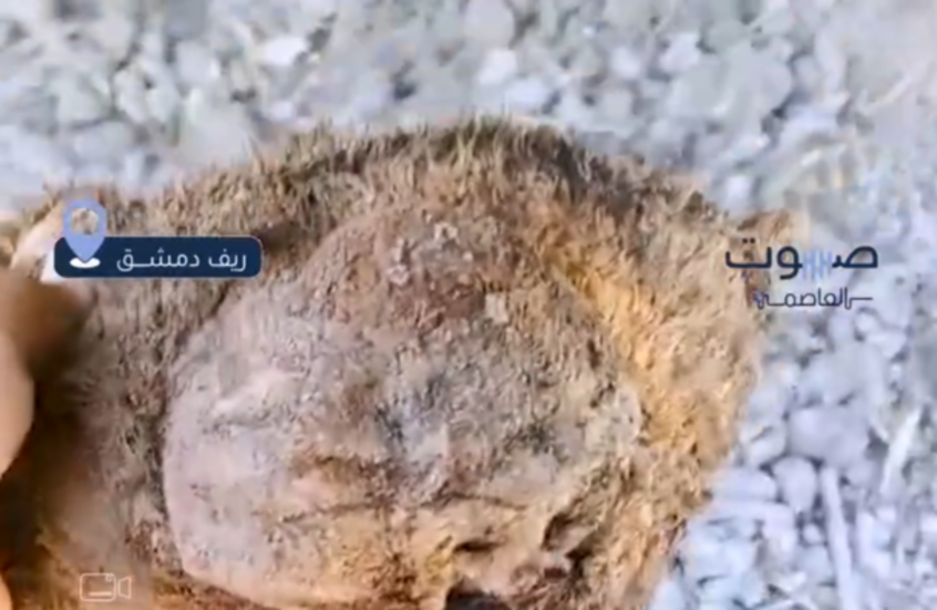 سوريا.. العثور على رفات عائلة تضم طفلا في العتيبة بريف دمشق والتحقيقات جارية