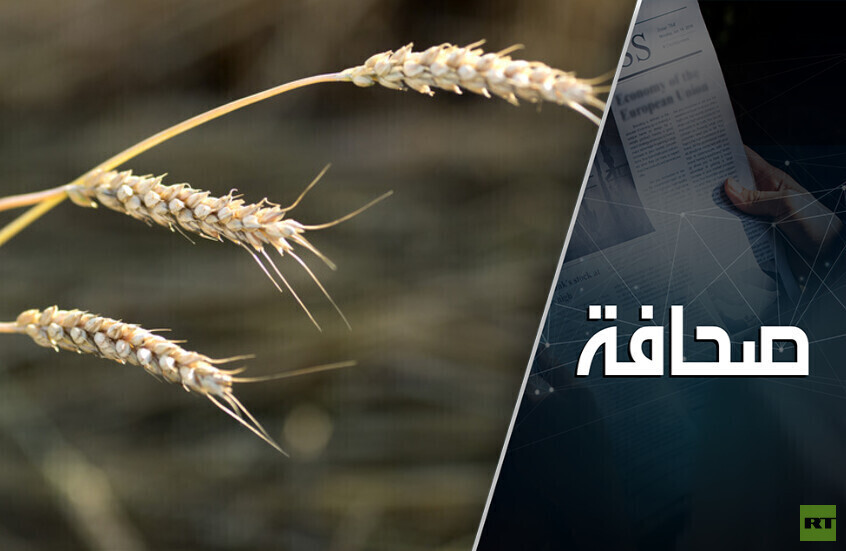 تركيا تسعى إلى إحياء صفقة الحبوب