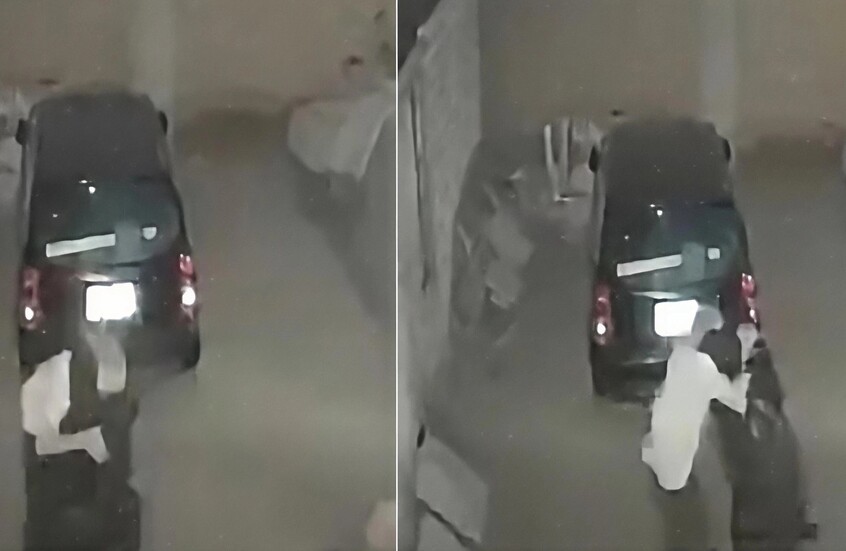 سيدة مصرية تنقذ زوجها بحركة مصارعة خاطفة قبل الاعتداء عليه