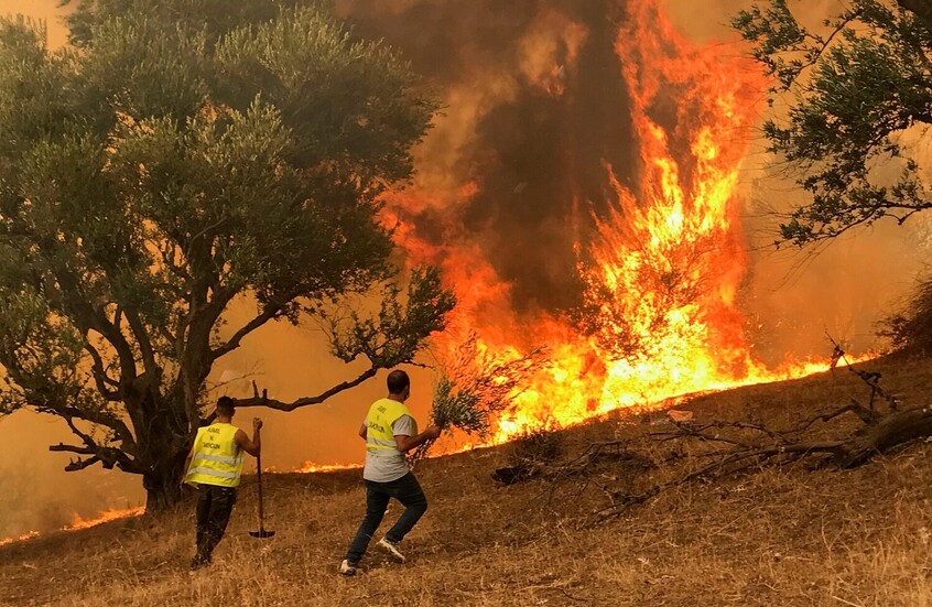 12 قتيلا في الجزائر.. وجيجل الأكثر تضررا (فيديو)