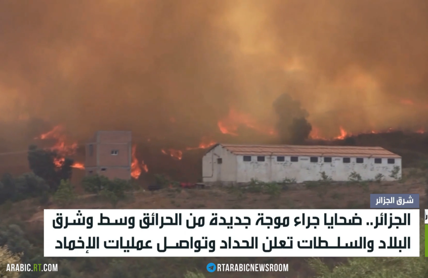 الجزائر.. حرائق وضحايا وحداد وطني
