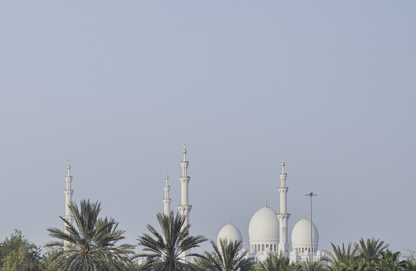 قرقاش: الحملات الإعلامية الموجهة ضد الإمارات يائسة وهدر للمال والجهد