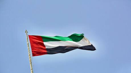 الإمارات تدين بشدة الهجوم على قوات حفظ السلام في جنوب السودان