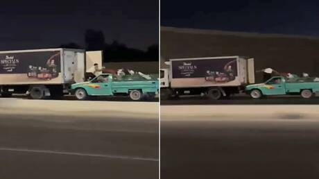 مصر.. مقتل المتهمين في السرقة 