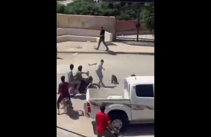 سوريا.. قرود شاردة وهروب جماعي ومطاردة في الشوارع (فيديو)