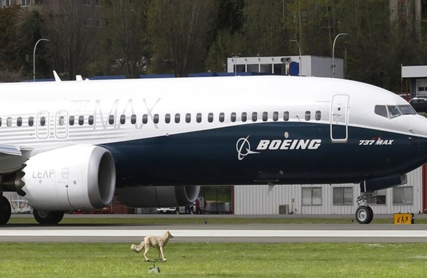 طائرة بوينغ 737 MAX