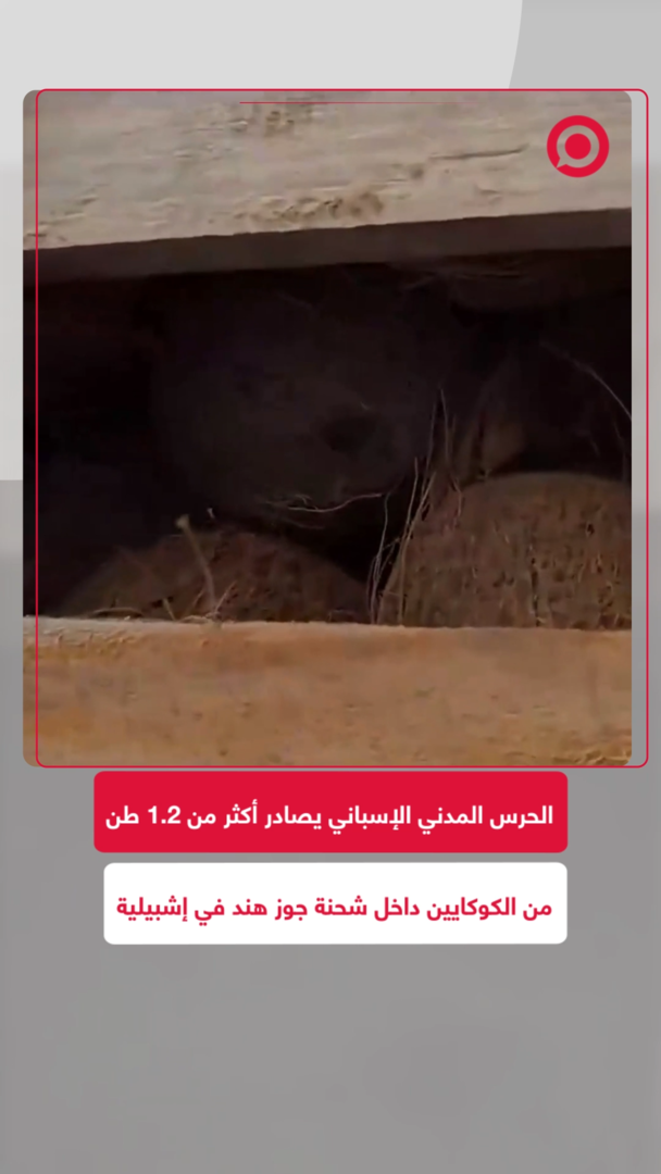 عملية أمنية محكمة بمسيرة تكشف عن شحنة كوكايين ضخمة مخبأة في شاحنة بإشبيلية