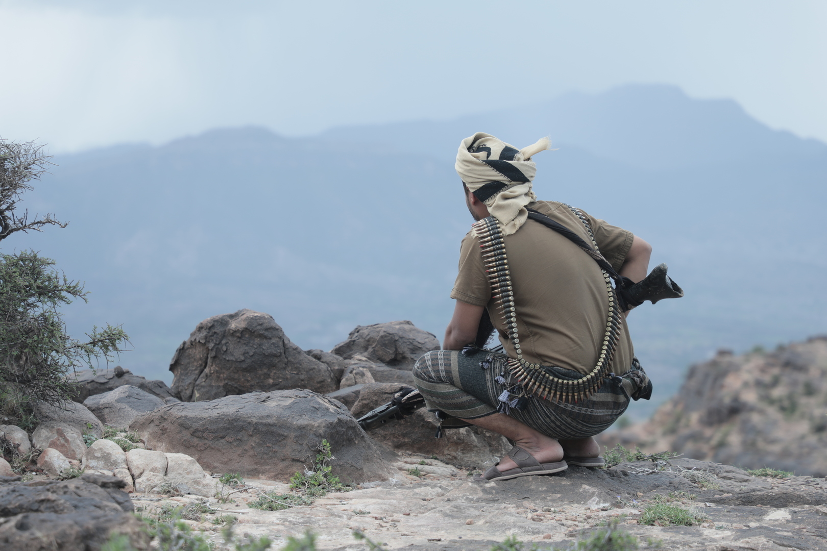 صورة الخبر
