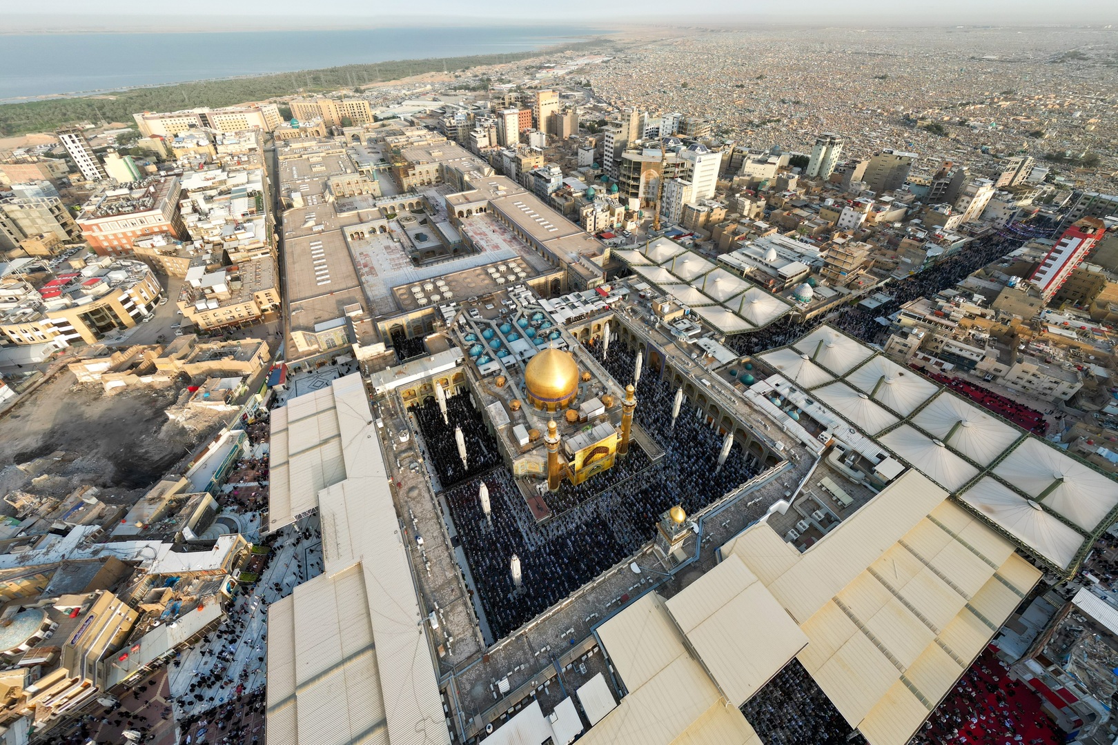 صورة الخبر