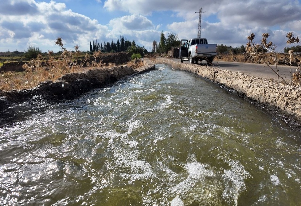صورة الخبر