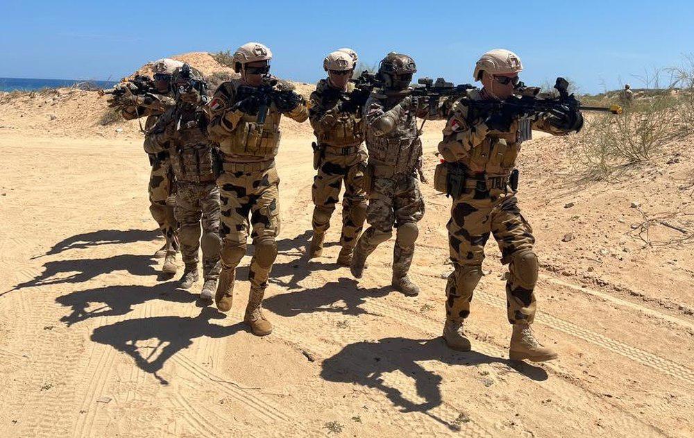 صورة الخبر