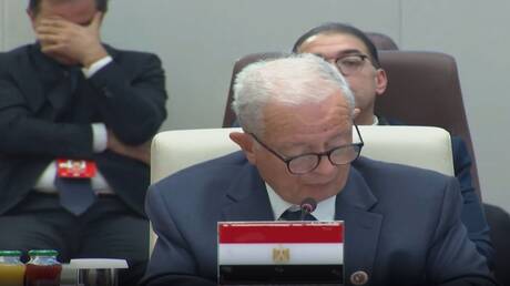 مصر تطالب بإصلاح مجلس الأمن وفقا لمتطلبات الدول الإفريقية