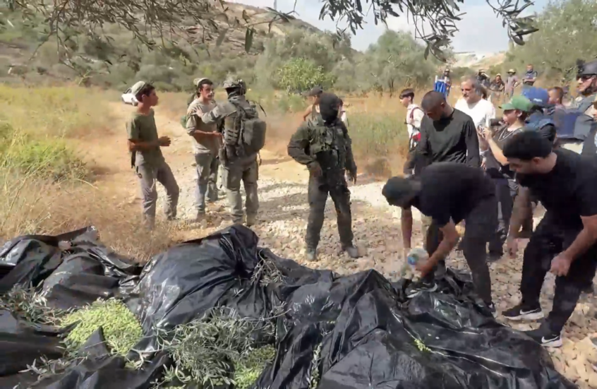 مستوطنون برفقة عناصر من الجيش الإسرائيلي يعتدون على قاطفي الزيتون في الضفة الغربية