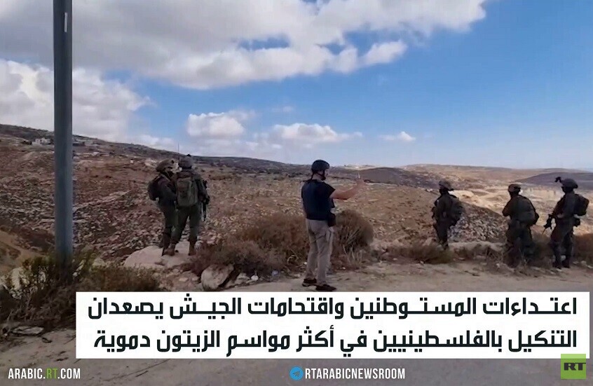 المستوطنون يعتدون على قاطفي الزيتون
