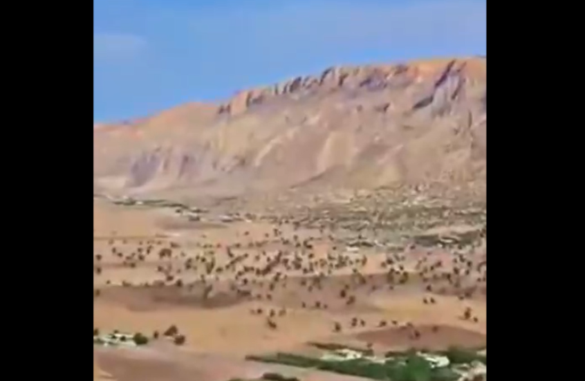 لقطة من فيديو