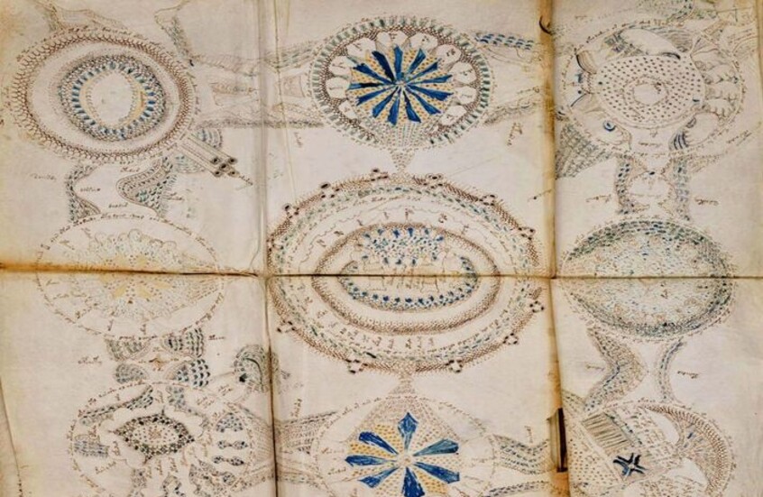 واحدة من أشهر الصفحات المطوية وأكثرها تعقيدا في مخطوطة فوينيتش (Voynich Manuscript) الغامضة، وتحديدا الصفحة المعروفة باسم "صفحة الوريدات التسع"،والتي تتكون الصفحة من شبكة من 9 رسومات دائرية رئيسية (وريدات)