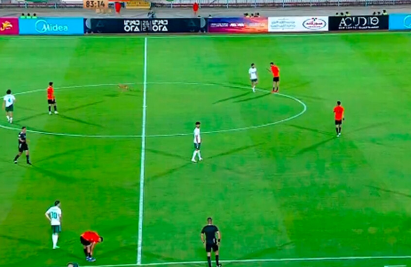 ضيف غير متوقع يوقف مباراة في الدوري المصري