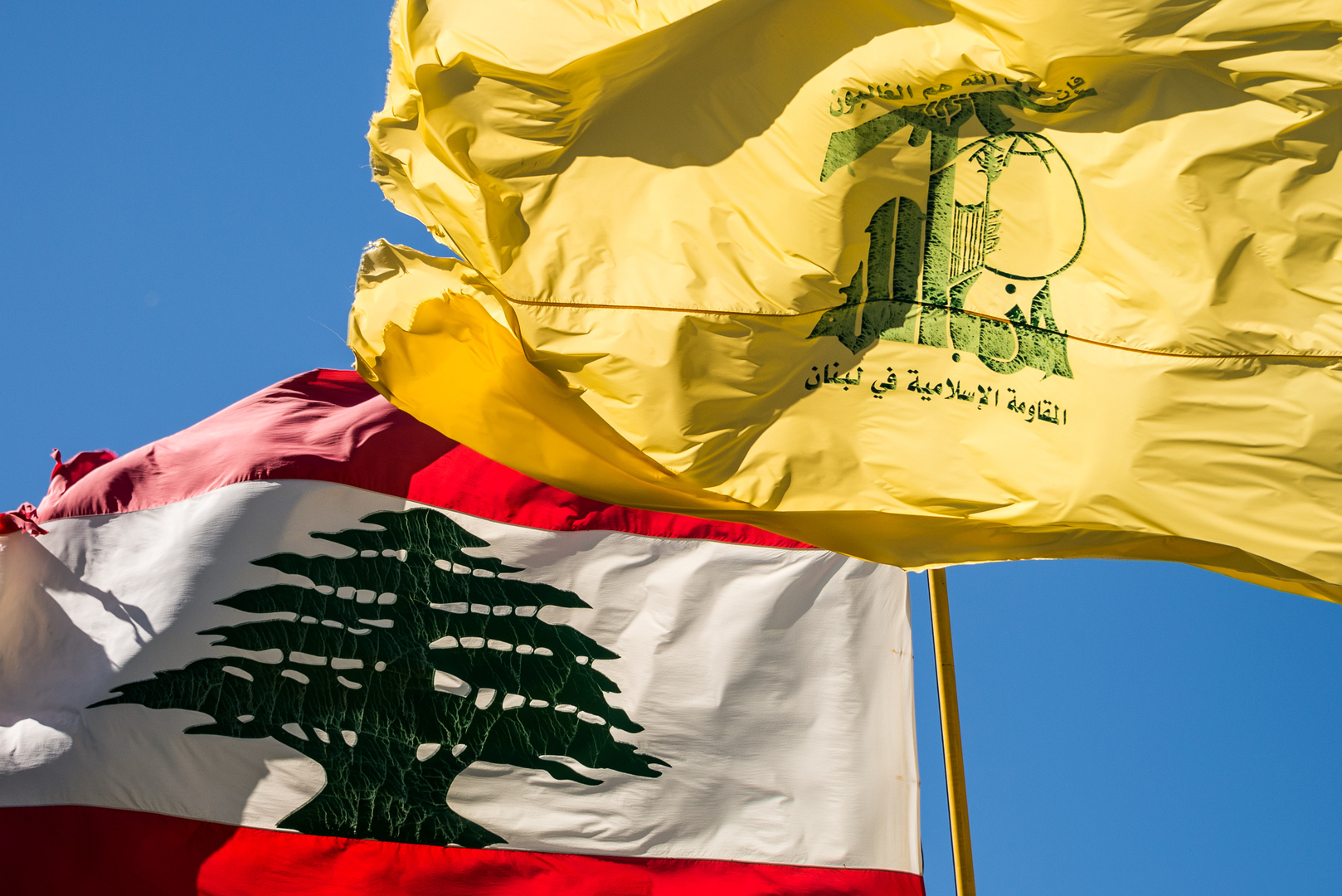 صورة الخبر