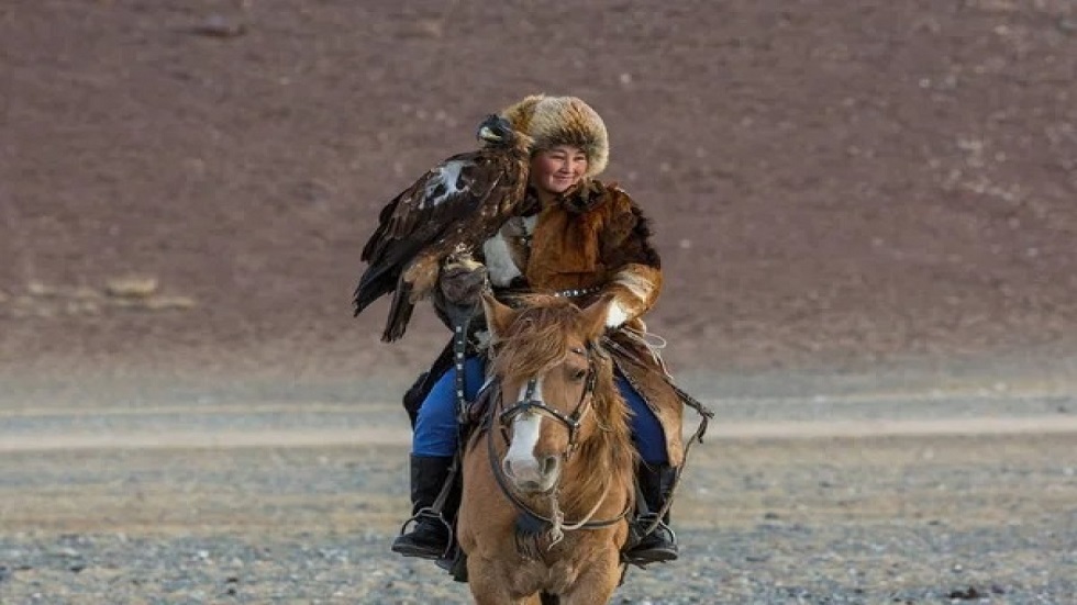 صورة الخبر
