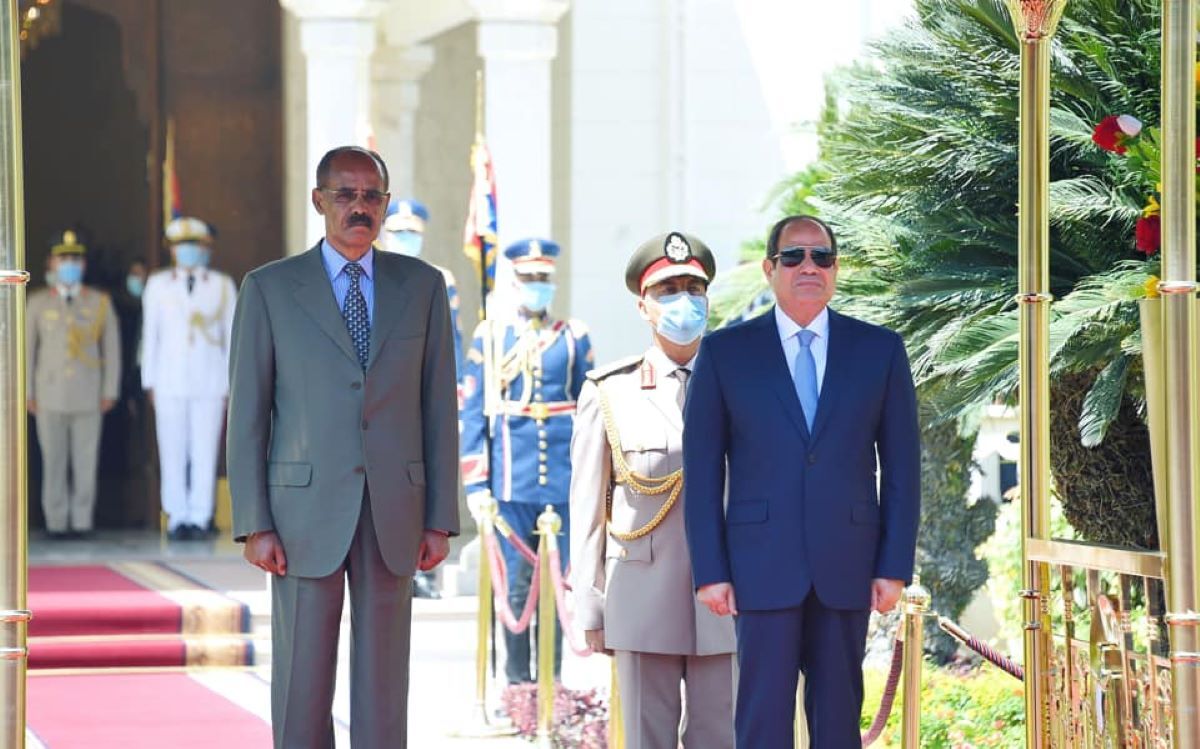 صورة الخبر