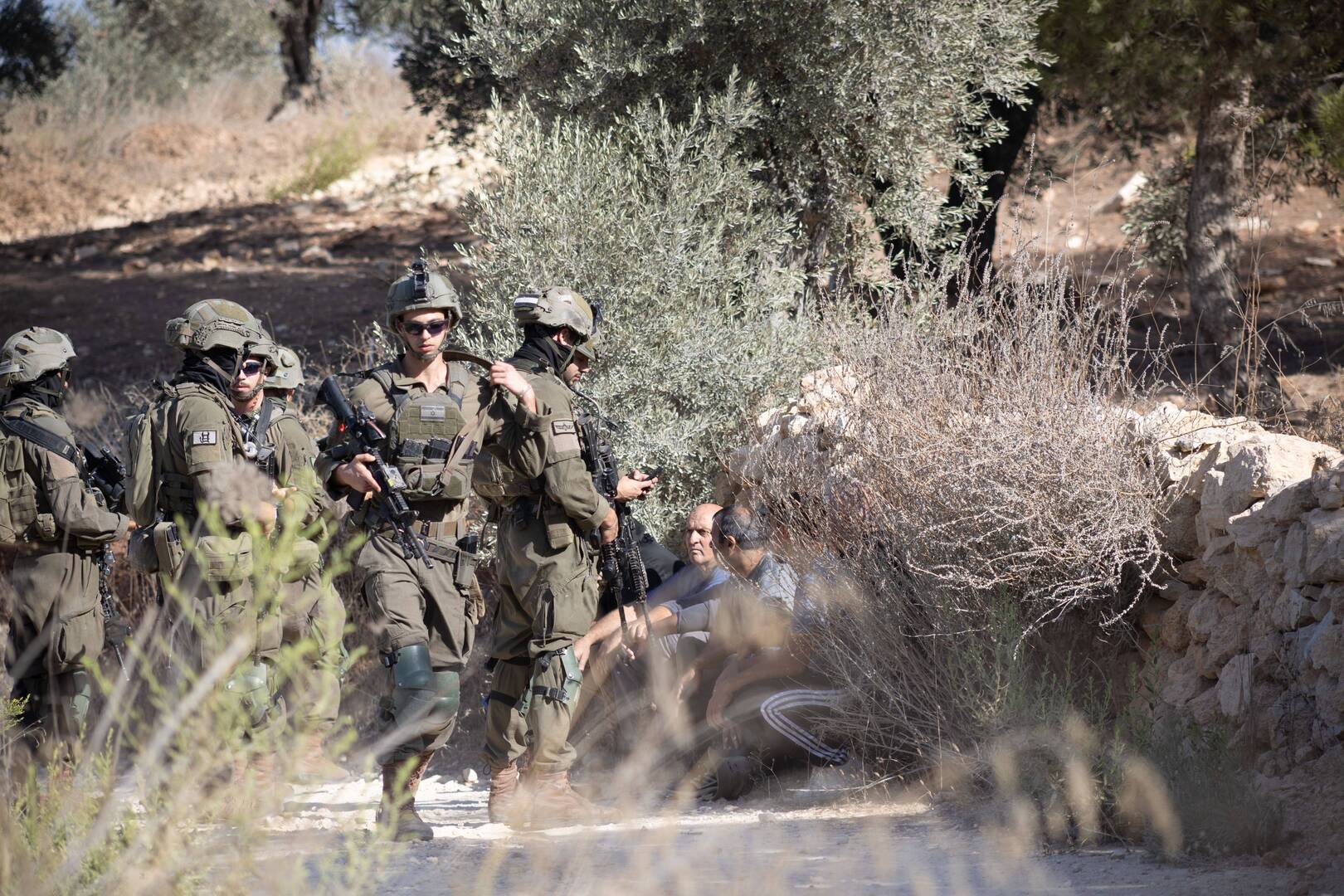 صورة الخبر