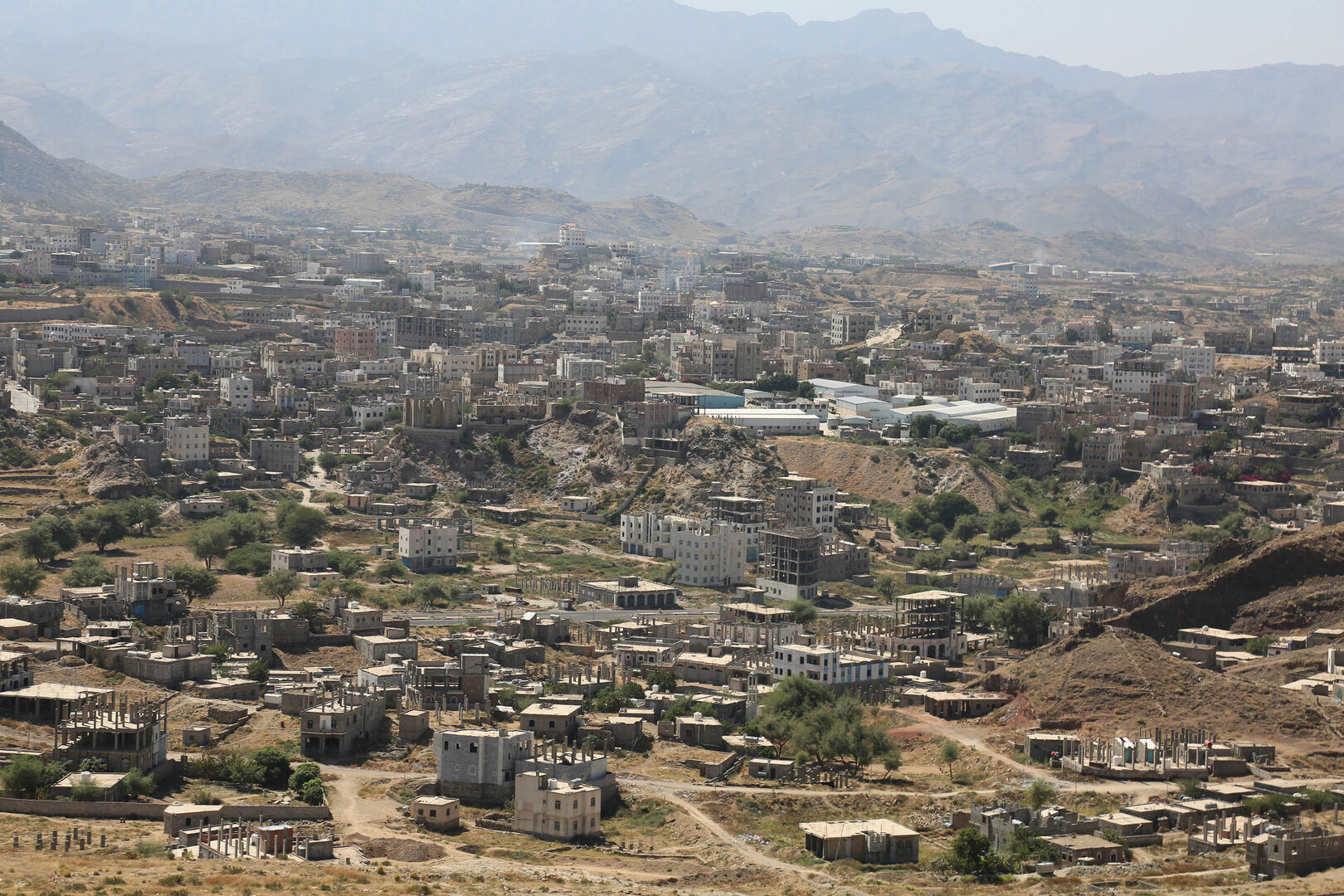 صورة الخبر