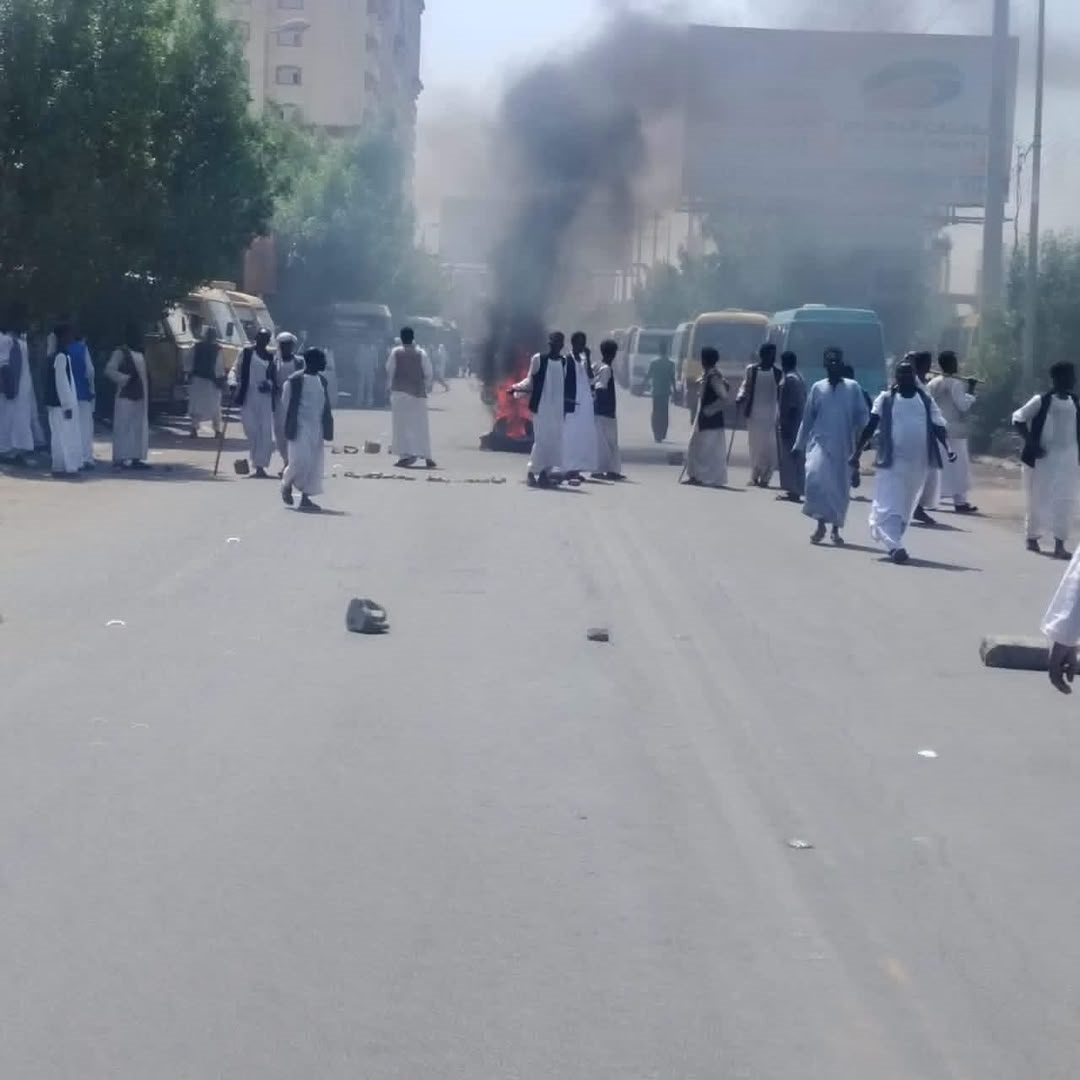 صورة الخبر
