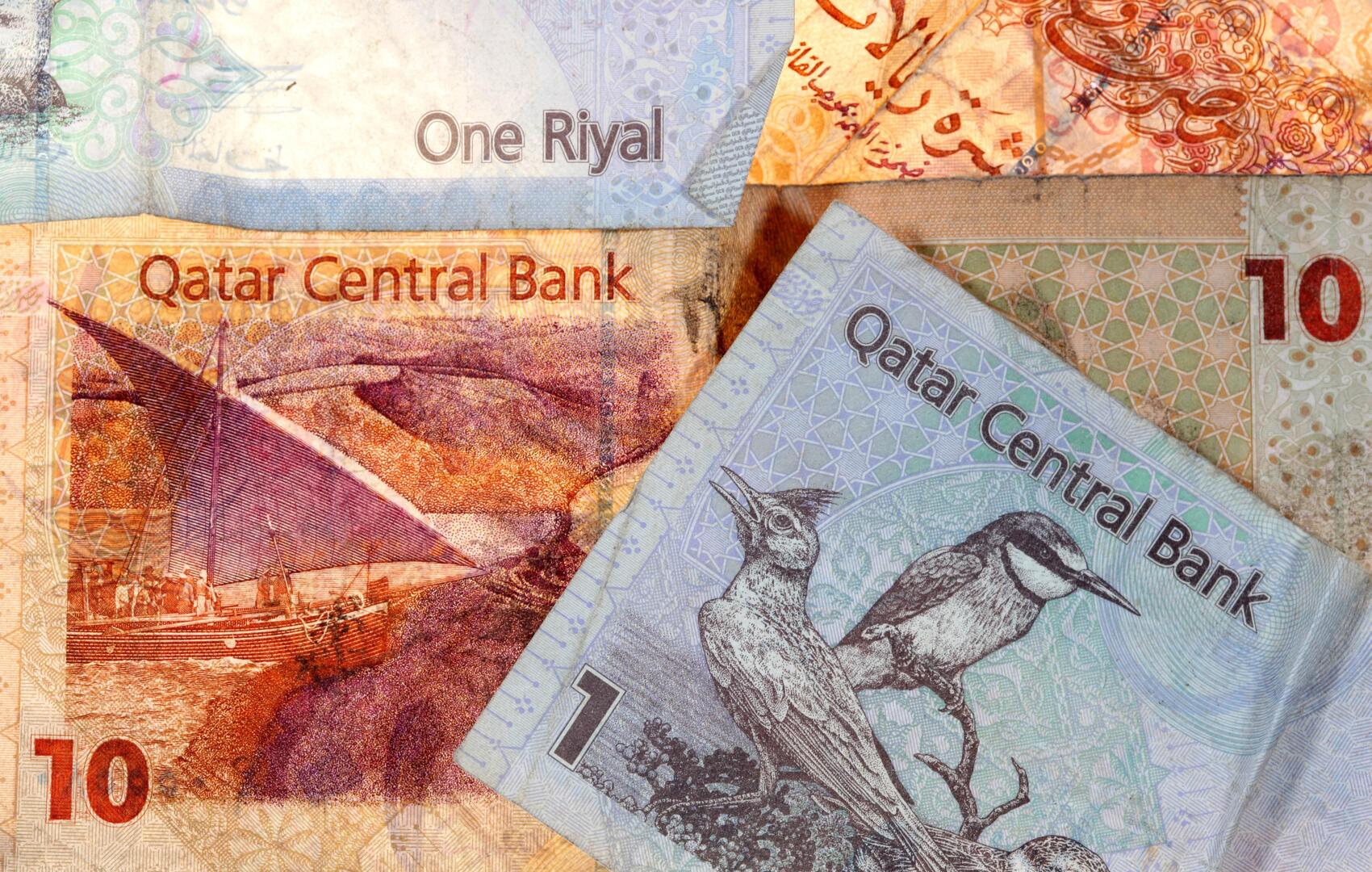 صورة الخبر