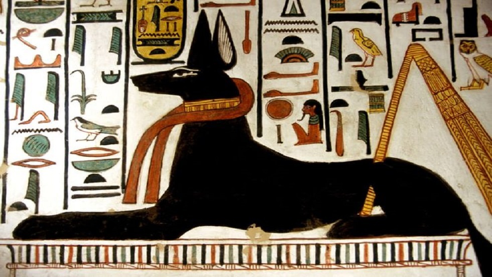 صورة الخبر
