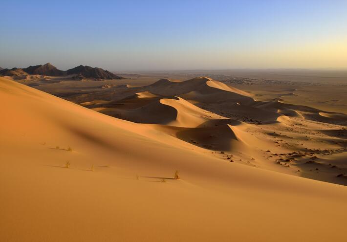 صورة الخبر