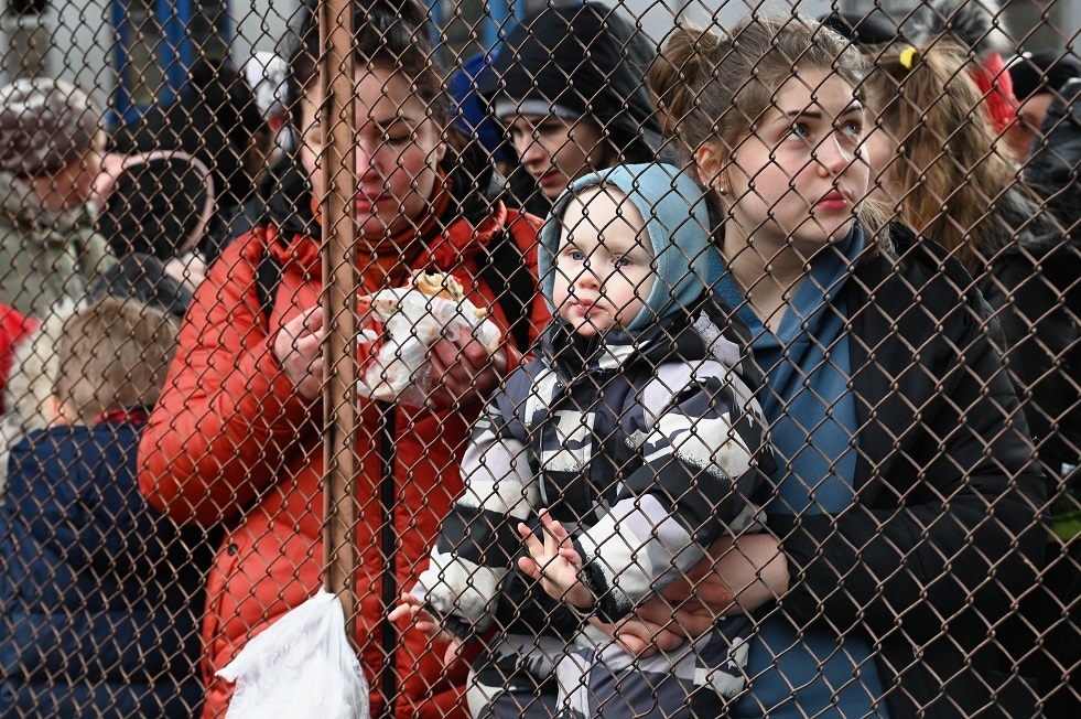 صورة الخبر