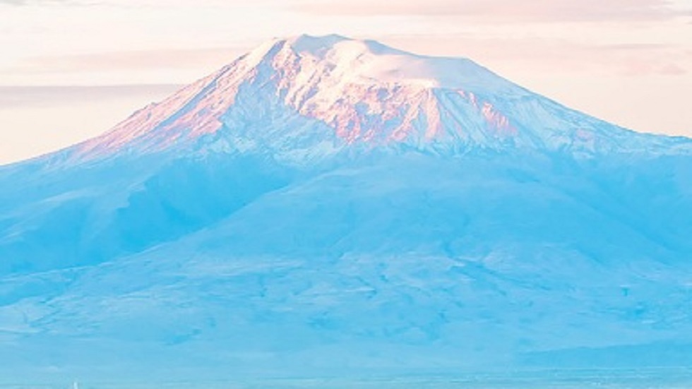 صورة الخبر