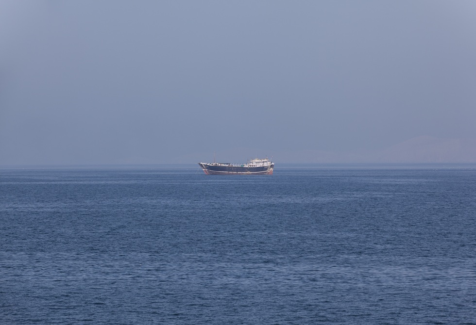 صورة الخبر