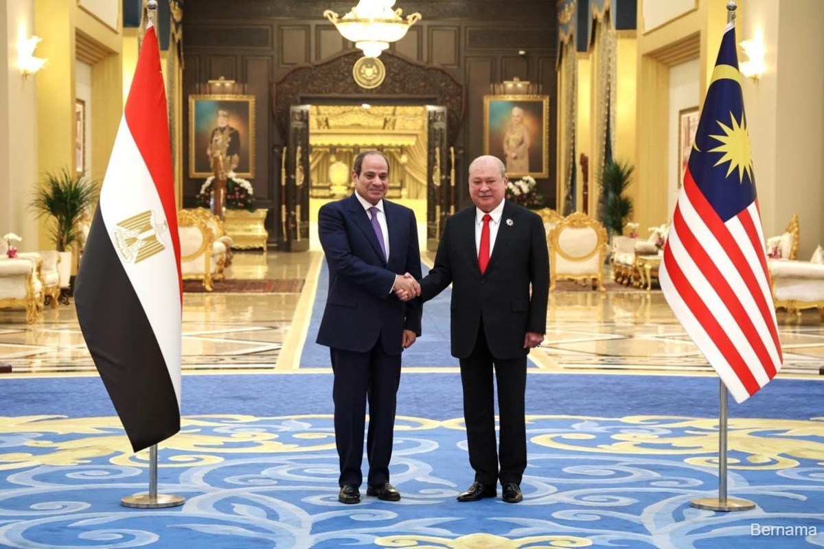 صورة الخبر