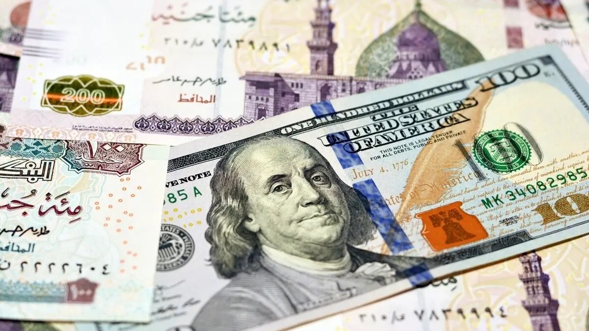 ماذا سيحدث في الدولار في مصر.. خبير اقتصادي يكشف لـRT